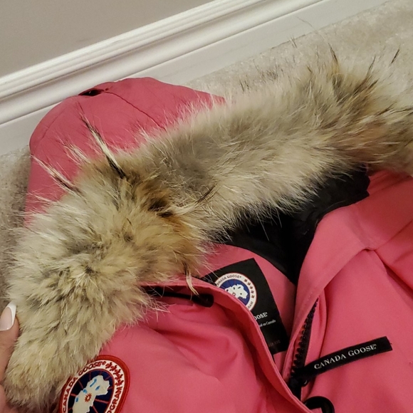 Excellent Rare Pink Canada Goose Chilliwack Bomber - Picture 3 of 9